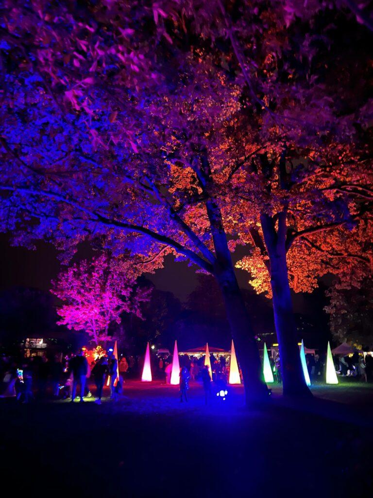 „Flamba Lights“ Lichtshow beim Lichtermeer im Kurpark Laboe