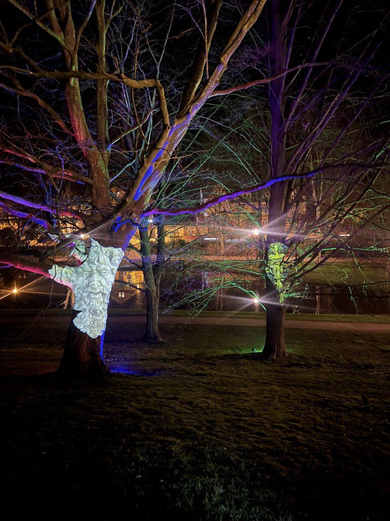 Feuer- und Lasershow zur "Nordlichter" im Schlosspark Celle